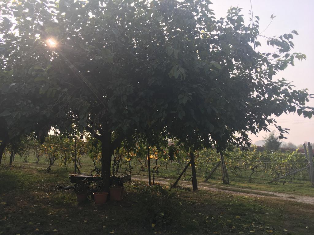 Le Magnolie Agriturismo Verolanuova Buitenkant foto