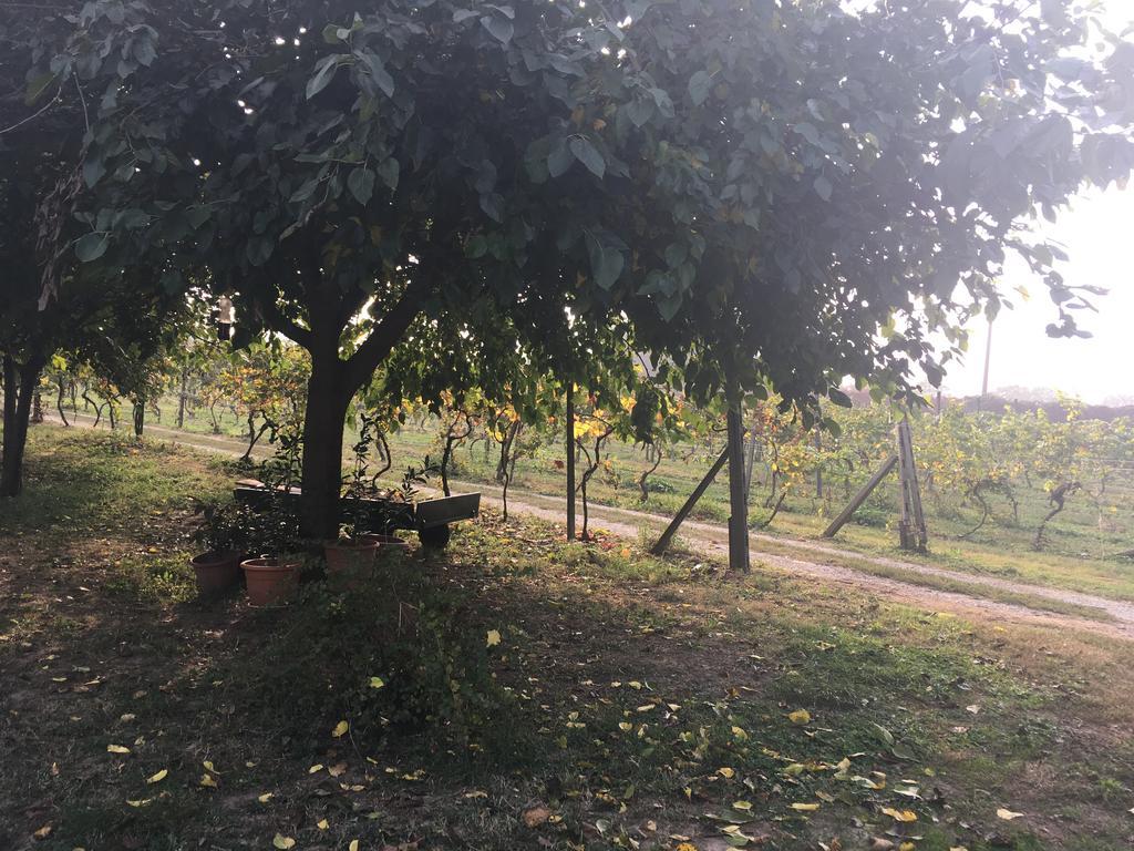 Le Magnolie Agriturismo Verolanuova Buitenkant foto
