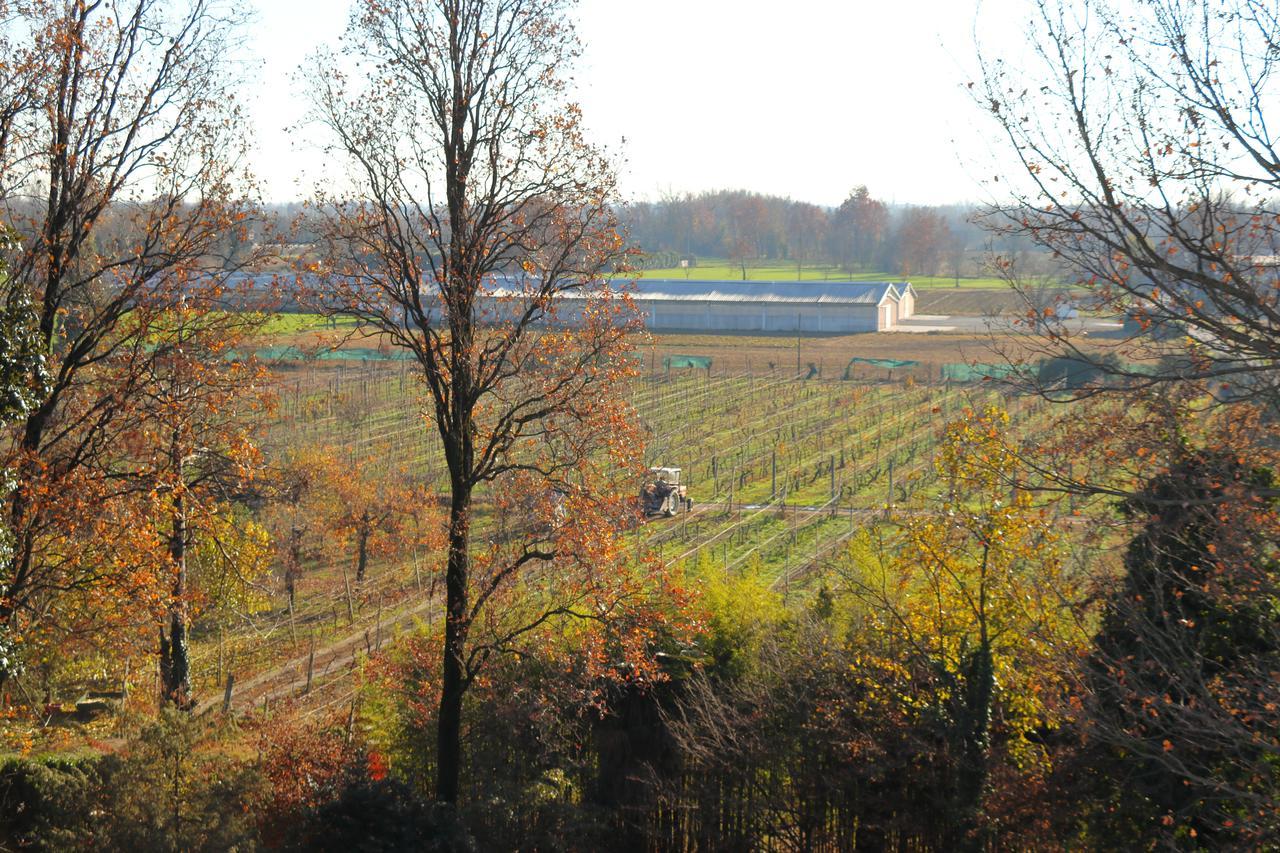 Le Magnolie Agriturismo Verolanuova Buitenkant foto